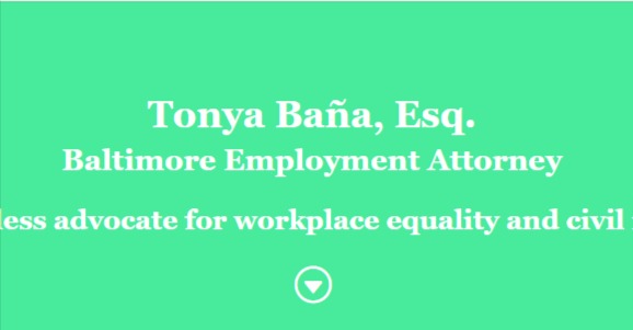 Tonya Bana LLC reviews