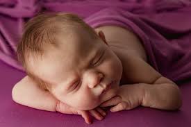 Pink Pelican Photography LLC reviews