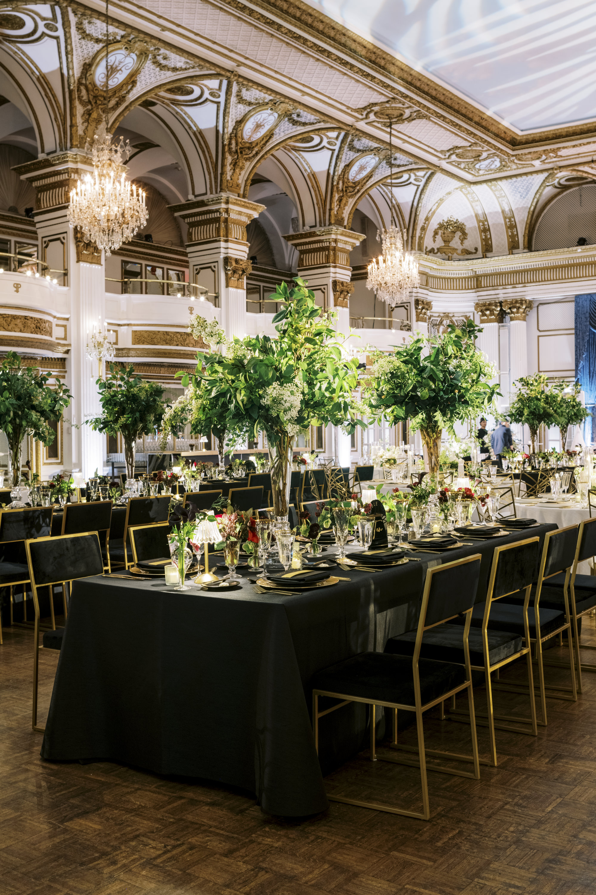 Nicole Baas Photography reviews