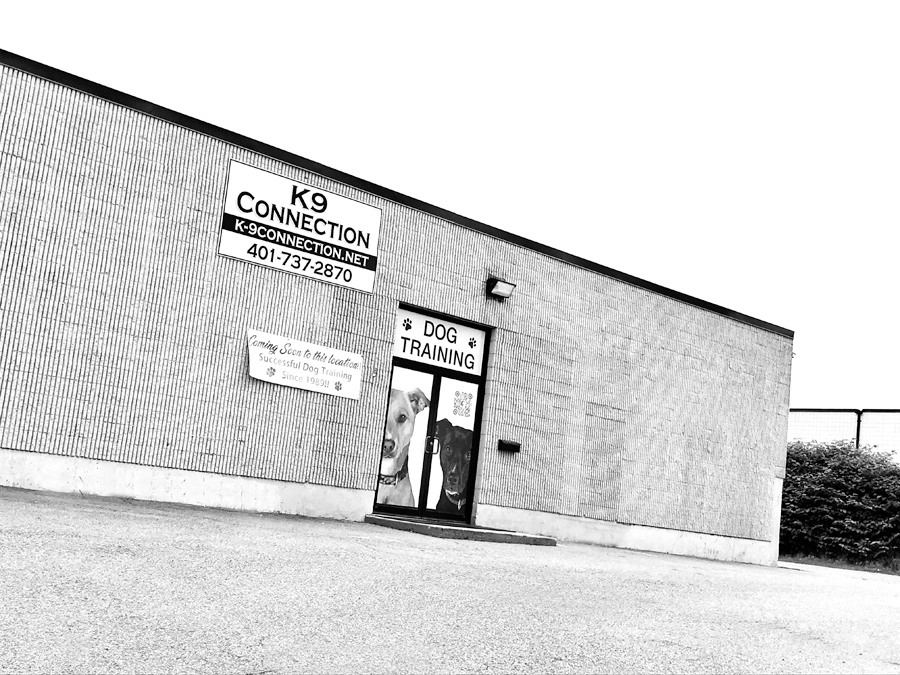 K-9 Connection reviews