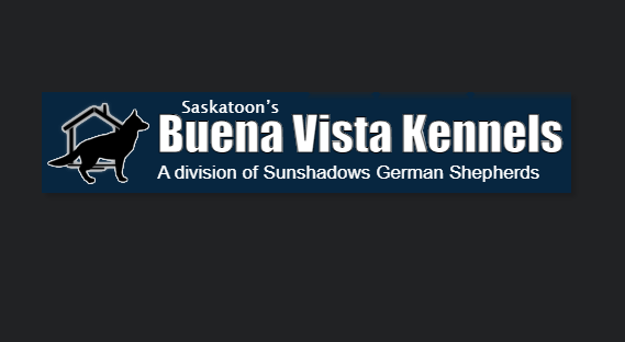 Buena Vista Kennels reviews