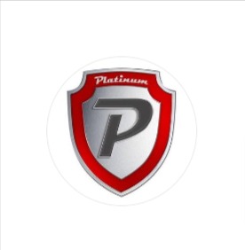Platinum Auto Group reviews
