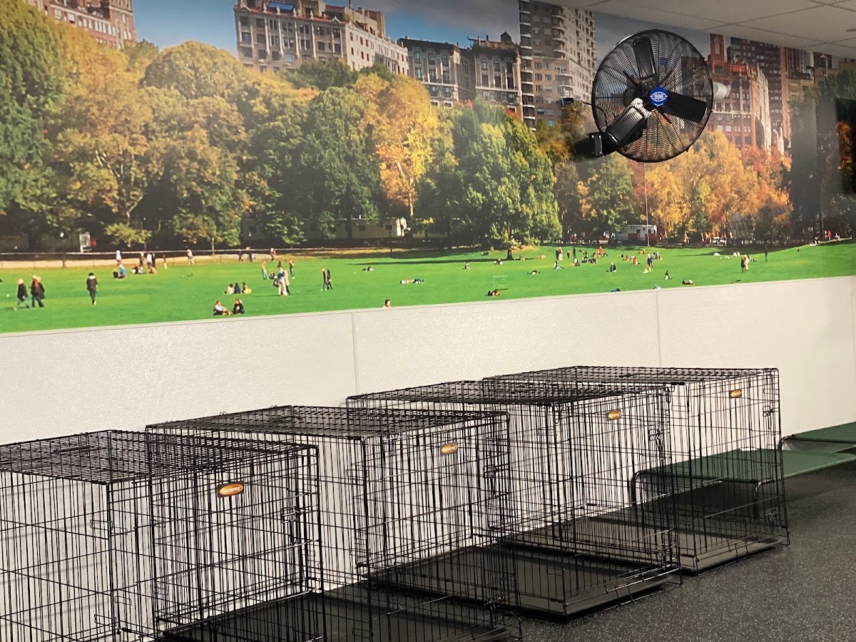 Dogtopia of Fishkill photo