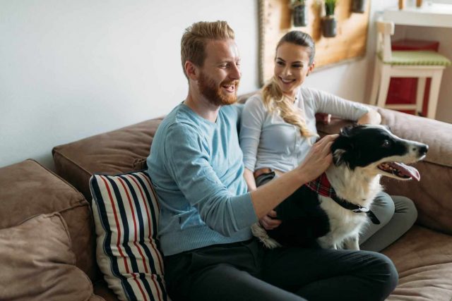 Country Paws Boarding reviews