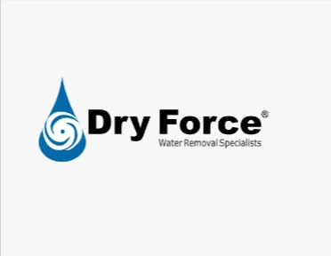 Dry Force Water Removal Specialists reviews