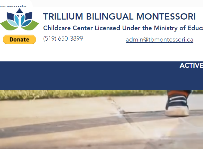 Trillium Bilingual Montessori reviews