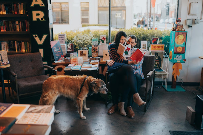 Tara Arseven Photography reviews