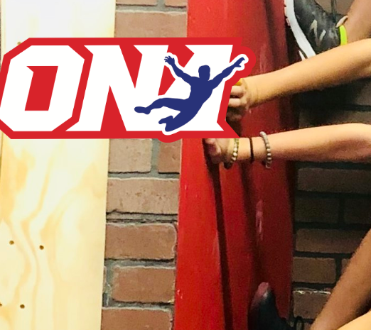 Obstacle Ninja Academy reviews