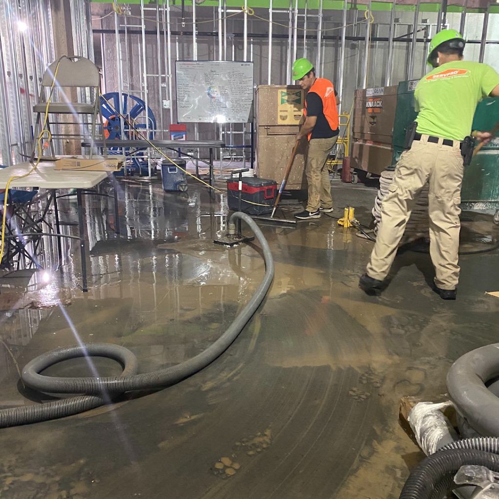 SERVPRO of South Tampa reviews