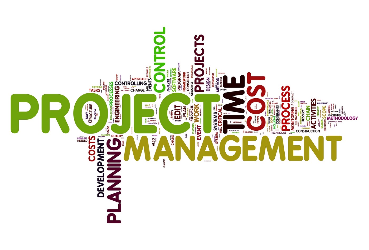 Focus Project Management Ltd. reviews