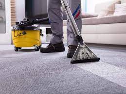 Mima Organic Carpet Cleaning Services reviews