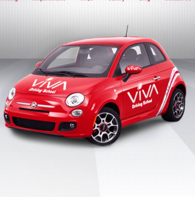 Viva Driving School, Inc. reviews