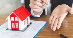 Agro Zaffiro LLP reviews