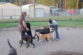 Resort for Pets Haslet reviews