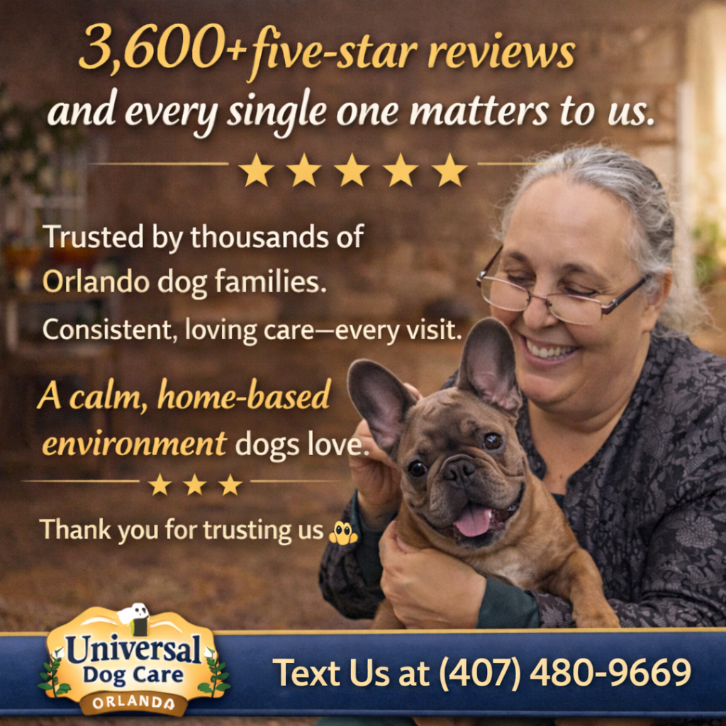 Universal Dog Care Orlando, Dog Care and Dog Boarding photo