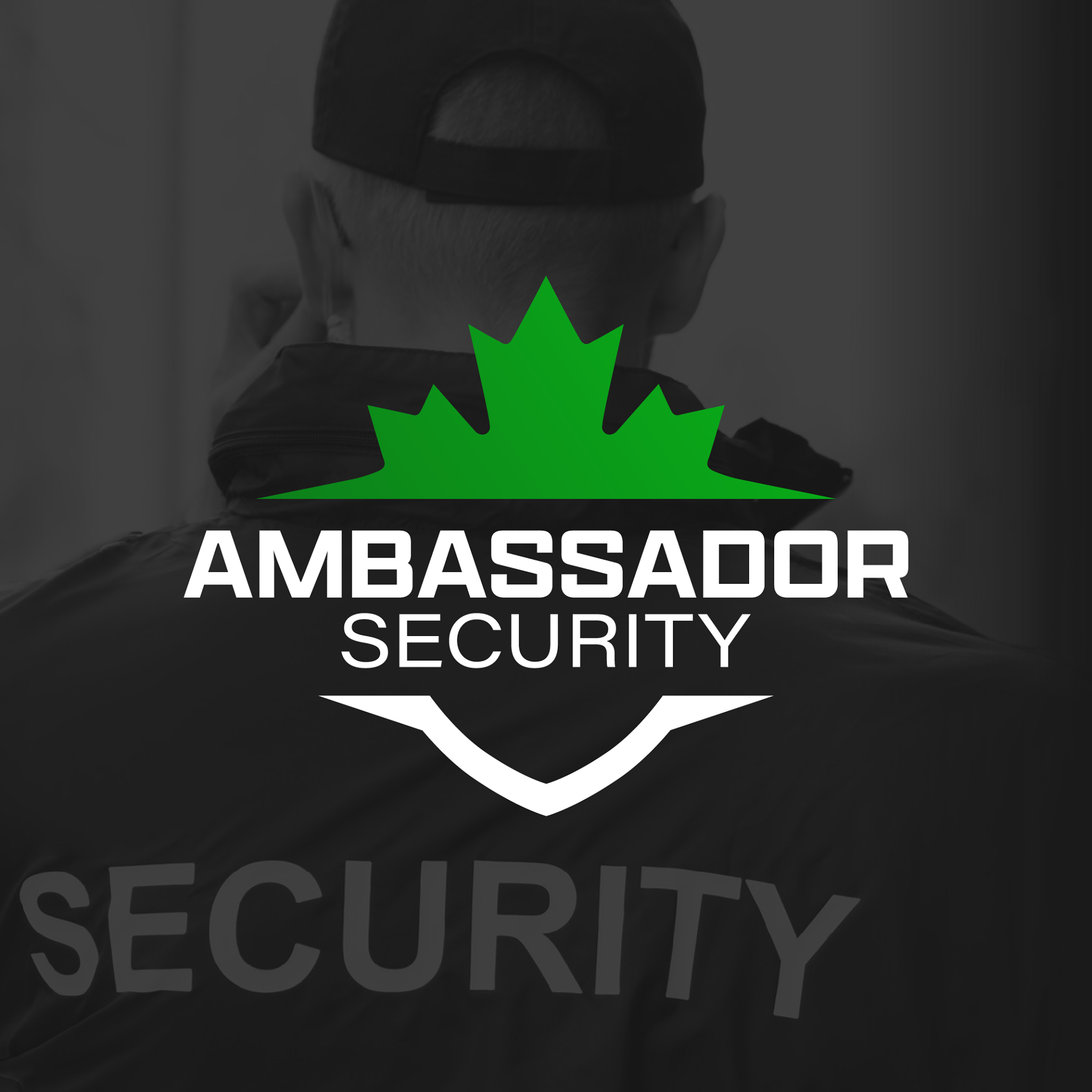 Ambassador Security reviews
