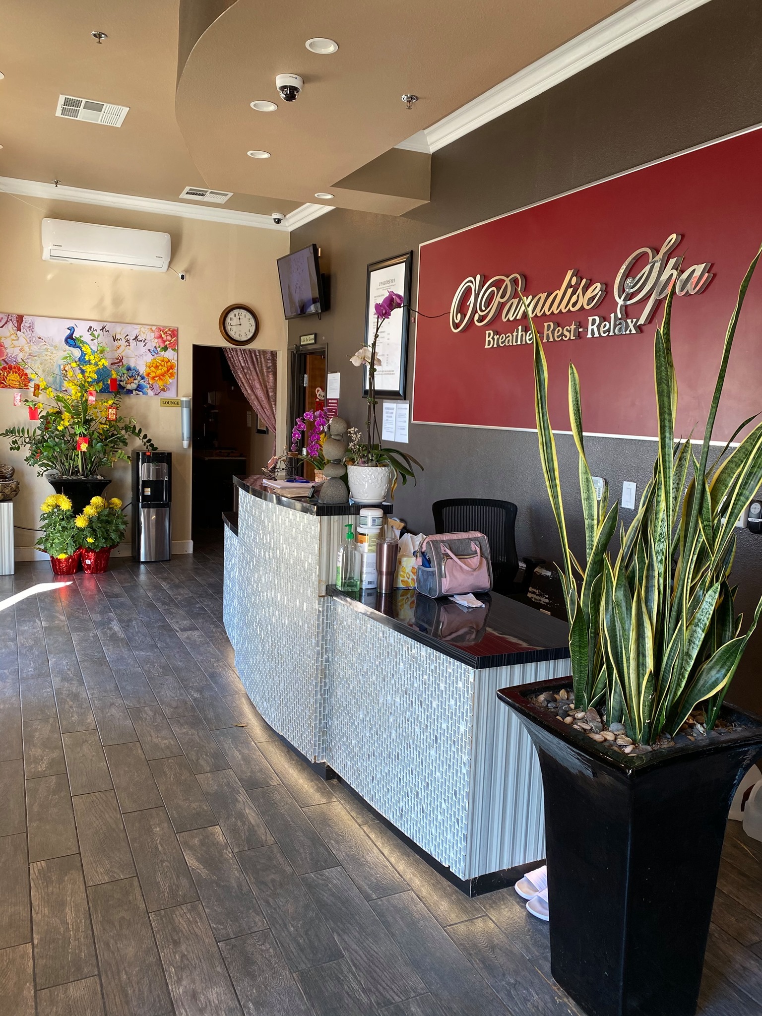 O'Paradise Spa reviews