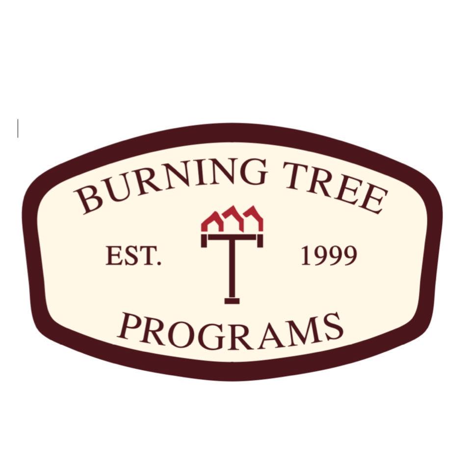Burning Tree Programs reviews