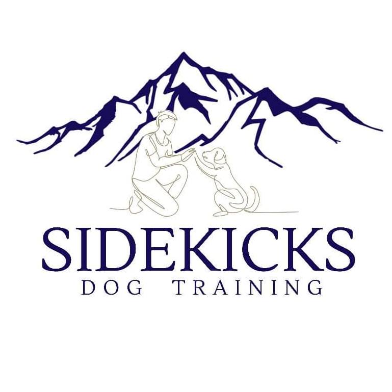 Sidekicks Dog Training reviews
