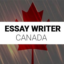 Essay Writer reviews