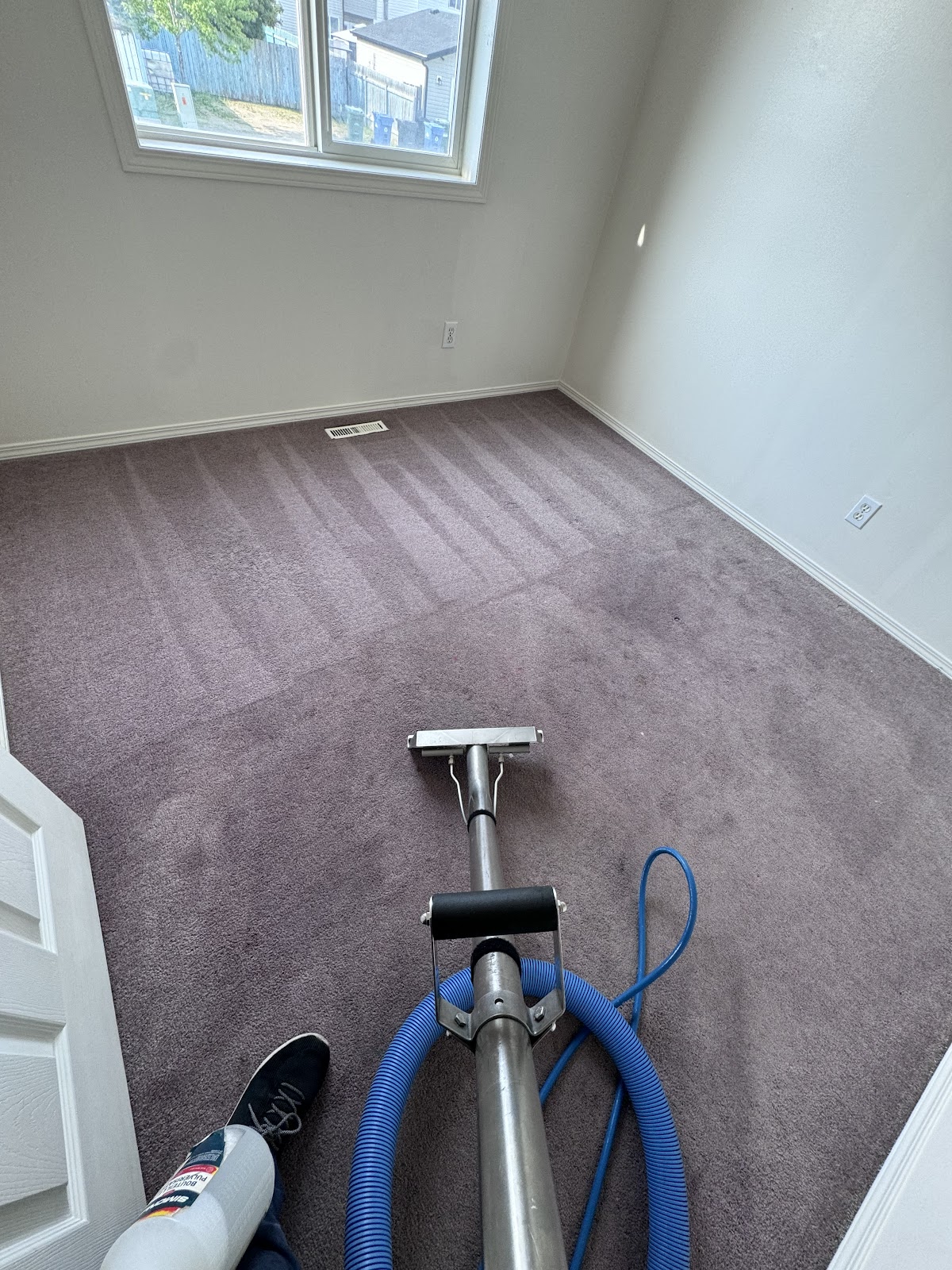 Ajar Carpet Cleaning reviews