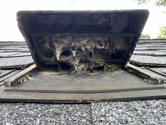 Mama Bear Dryer Vent Cleaning photo