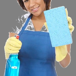 NNIC HOUSE CLEANING reviews