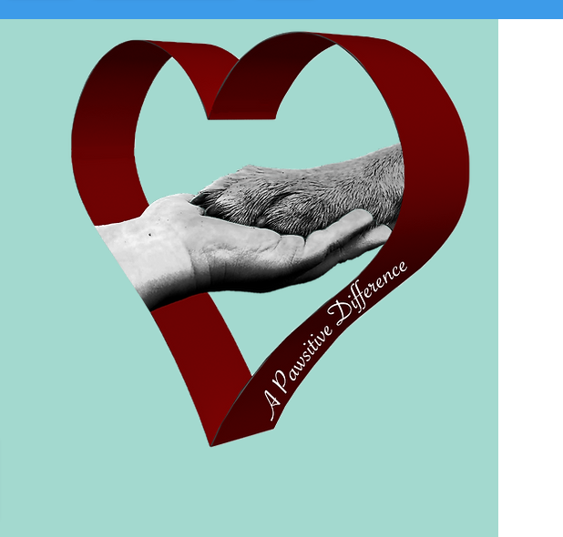 A Pawsitive Difference Dog Training School Ottawa reviews