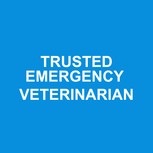 Yonge Street Animal Hospital photo