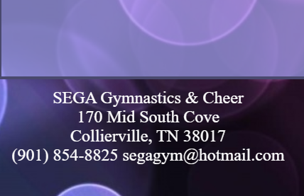 SEGA Gymnastics reviews