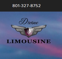 Divine Limousine reviews