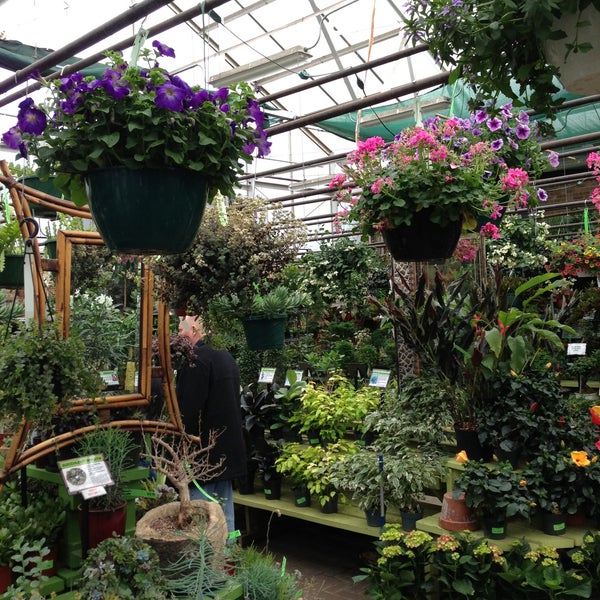 Plant Shop Chicago reviews