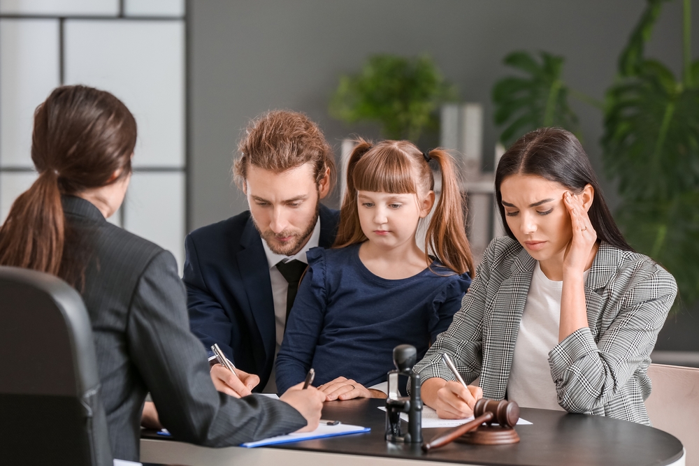 Taurus Law | Family, Business, and Litigation Lawyers photo