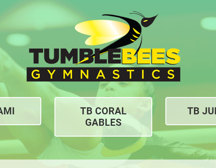 Tumblebees Gymnastics & Dance reviews