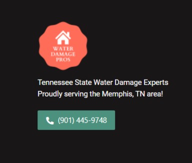 Tennessee State Water Damage Experts reviews