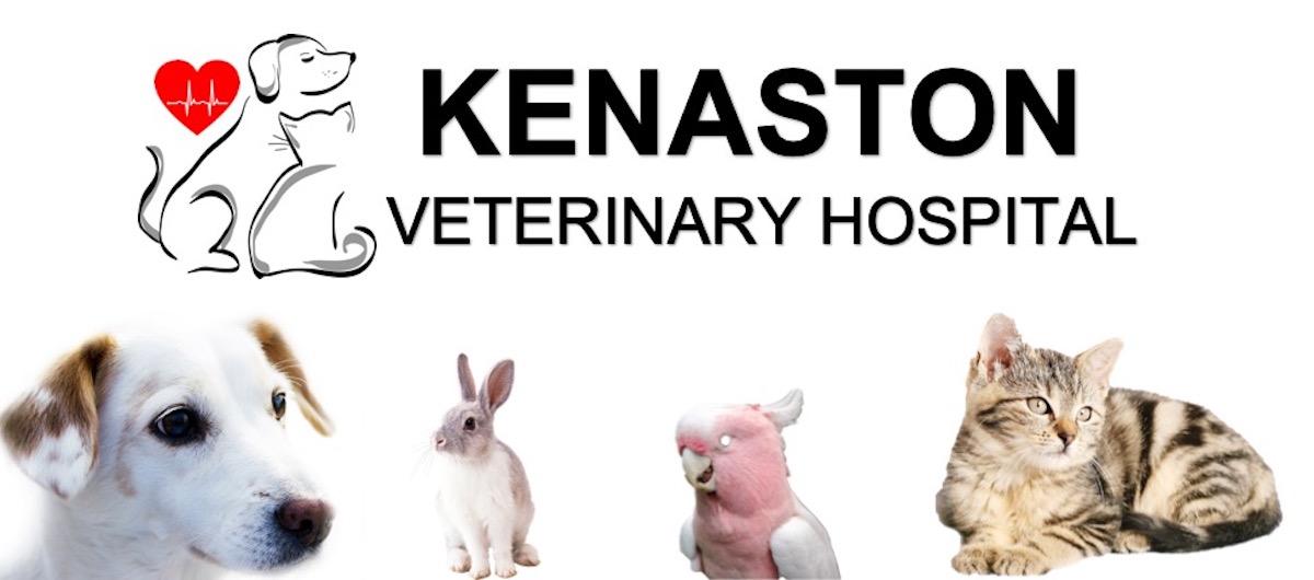 Kenaston Veterinary Hospital reviews