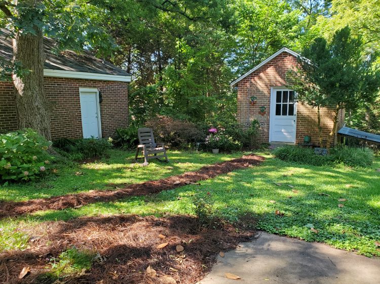 Charlotte Counseling and Therapy reviews