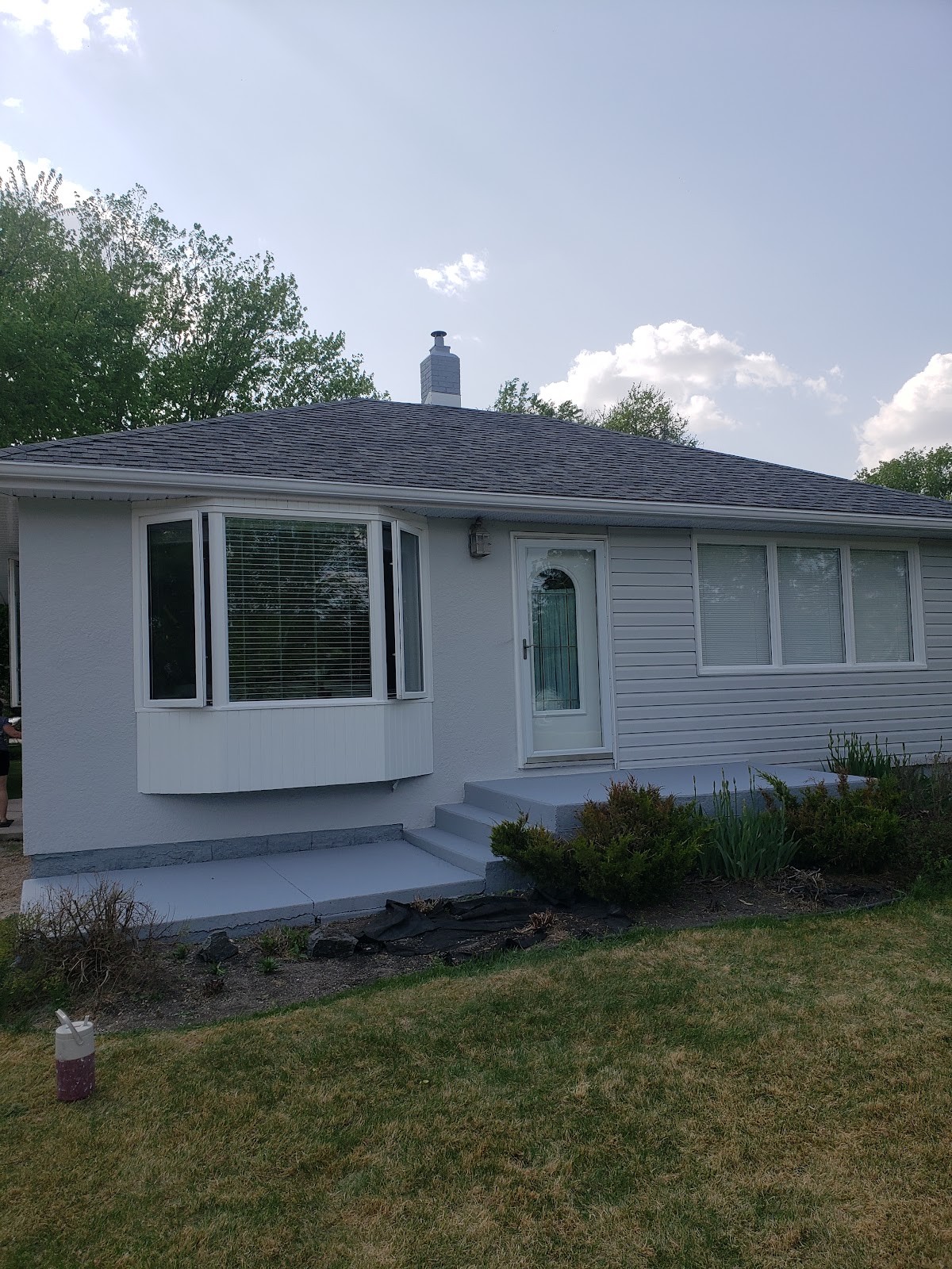 New Look Painting reviews