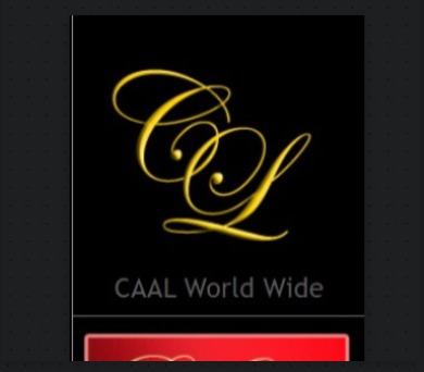 Caal World Wide Limousine Service reviews