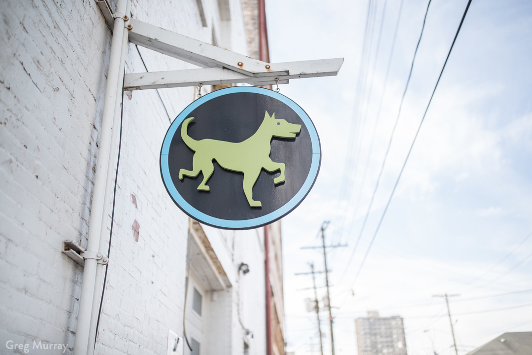 Evolution Canine reviews