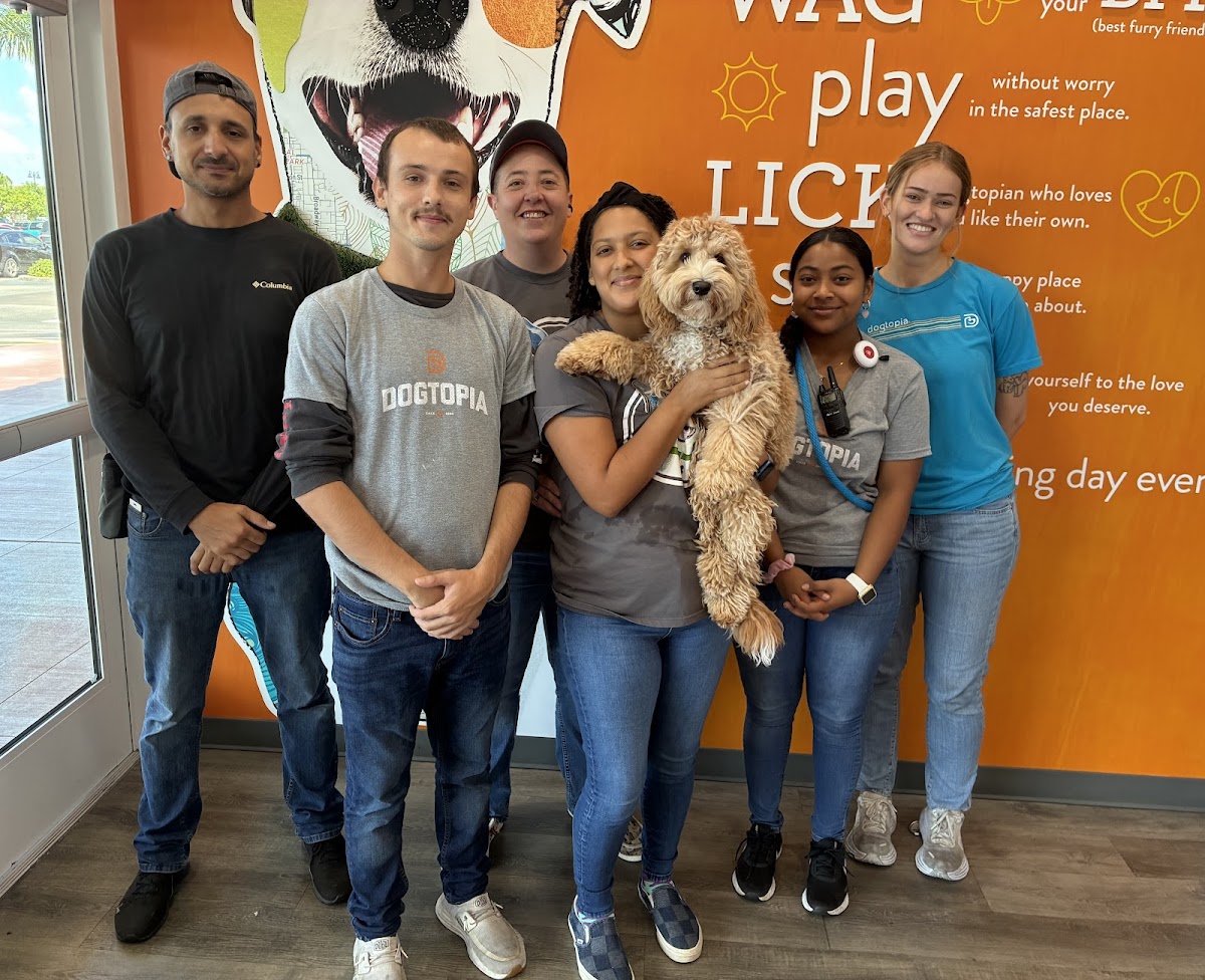 Dogtopia of Fort Myers photo