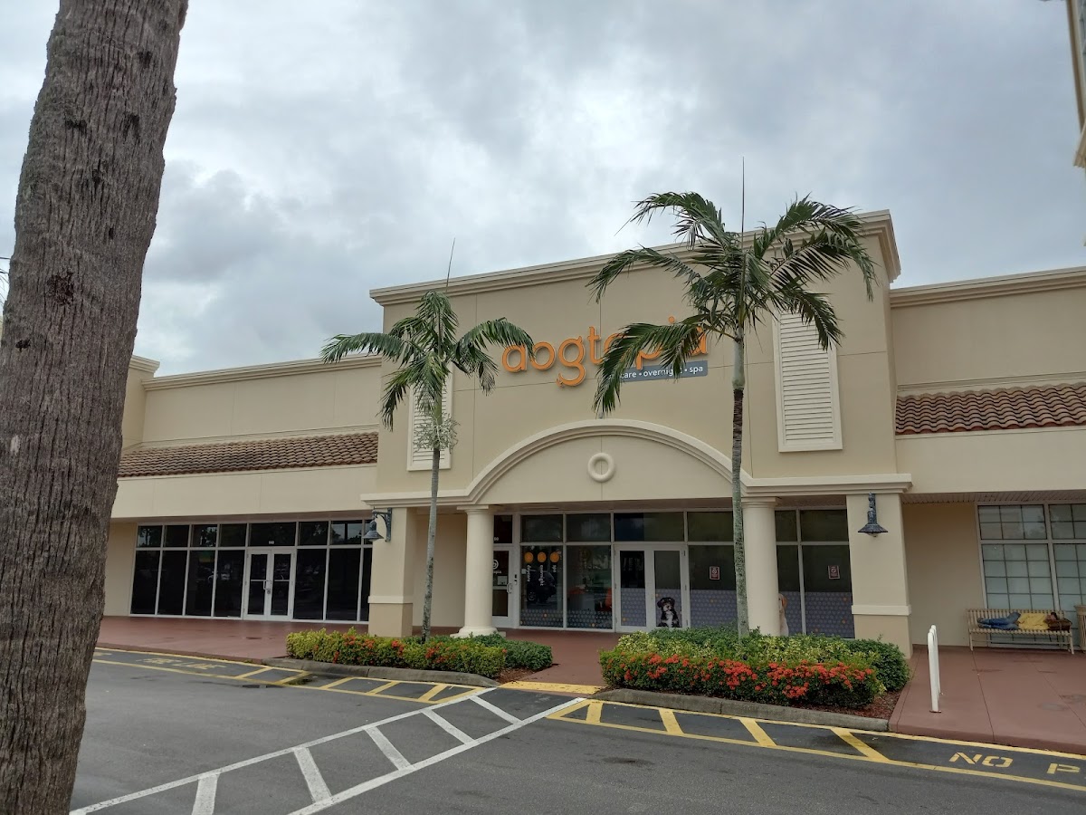 Dogtopia of Fort Myers photo