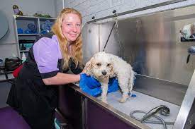 Fur Baby Royal Grooming & Boarding reviews