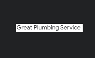 Great Plumbing Service reviews
