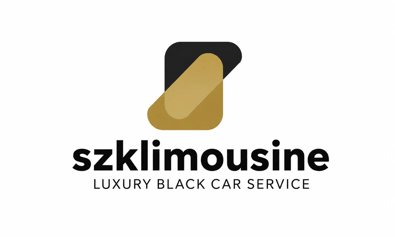 SZK LIMOUSINE photo