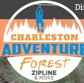 Charleston Adventure Forest photo