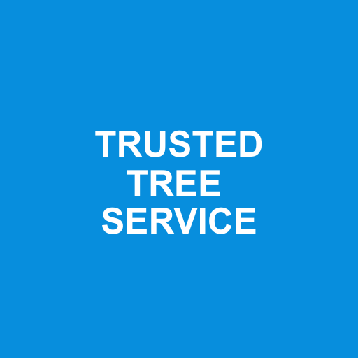 R & J Tree Services LLC photo