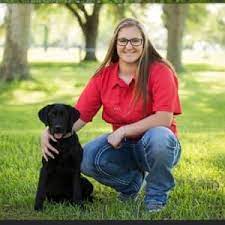 Camp Bow Wow reviews