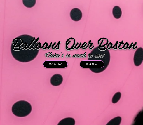 Balloons Over Boston reviews