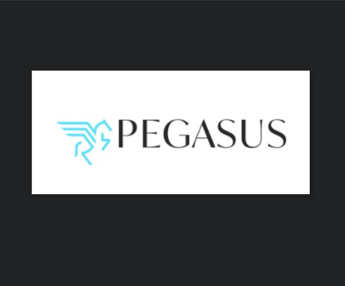 Pegasus reviews